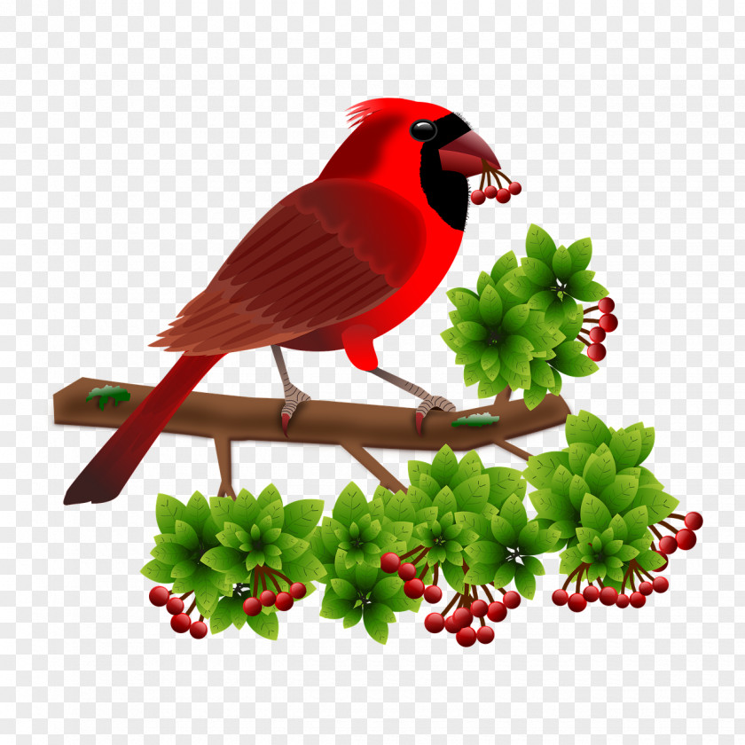 Bird Android PNG