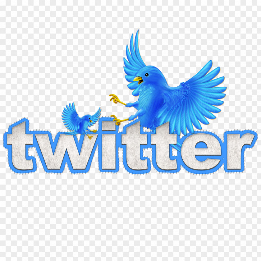 Bird Logo Social Media Marketing Advertising Business Finance PNG