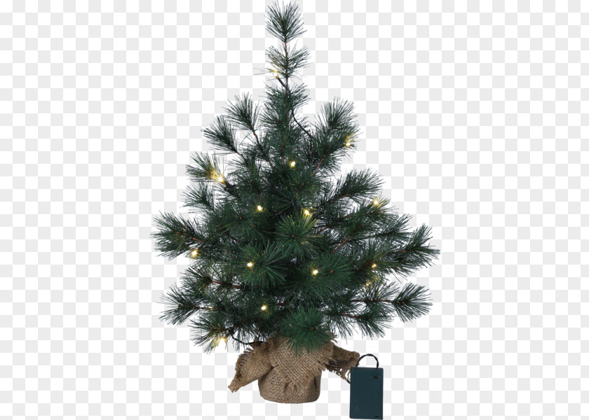 City-service Spruce Christmas Tree Fir Ornament PNG