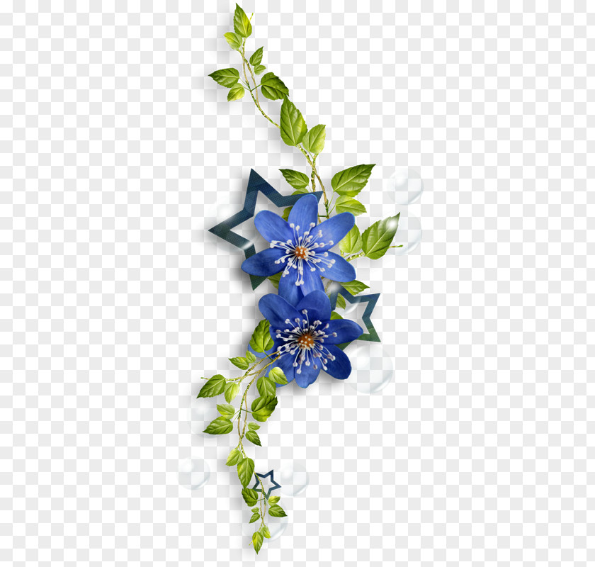 Flower Collage Clip Art PNG