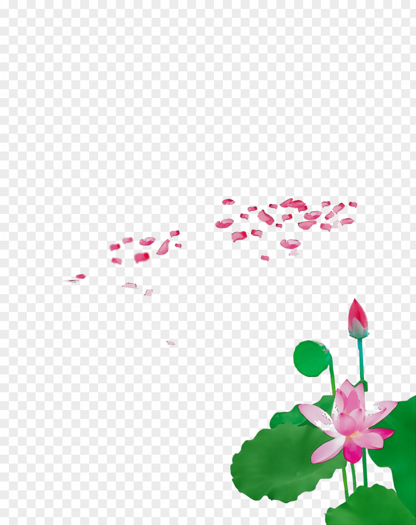 Herbaceous Plant Pedicel Pink Flower Petal PNG