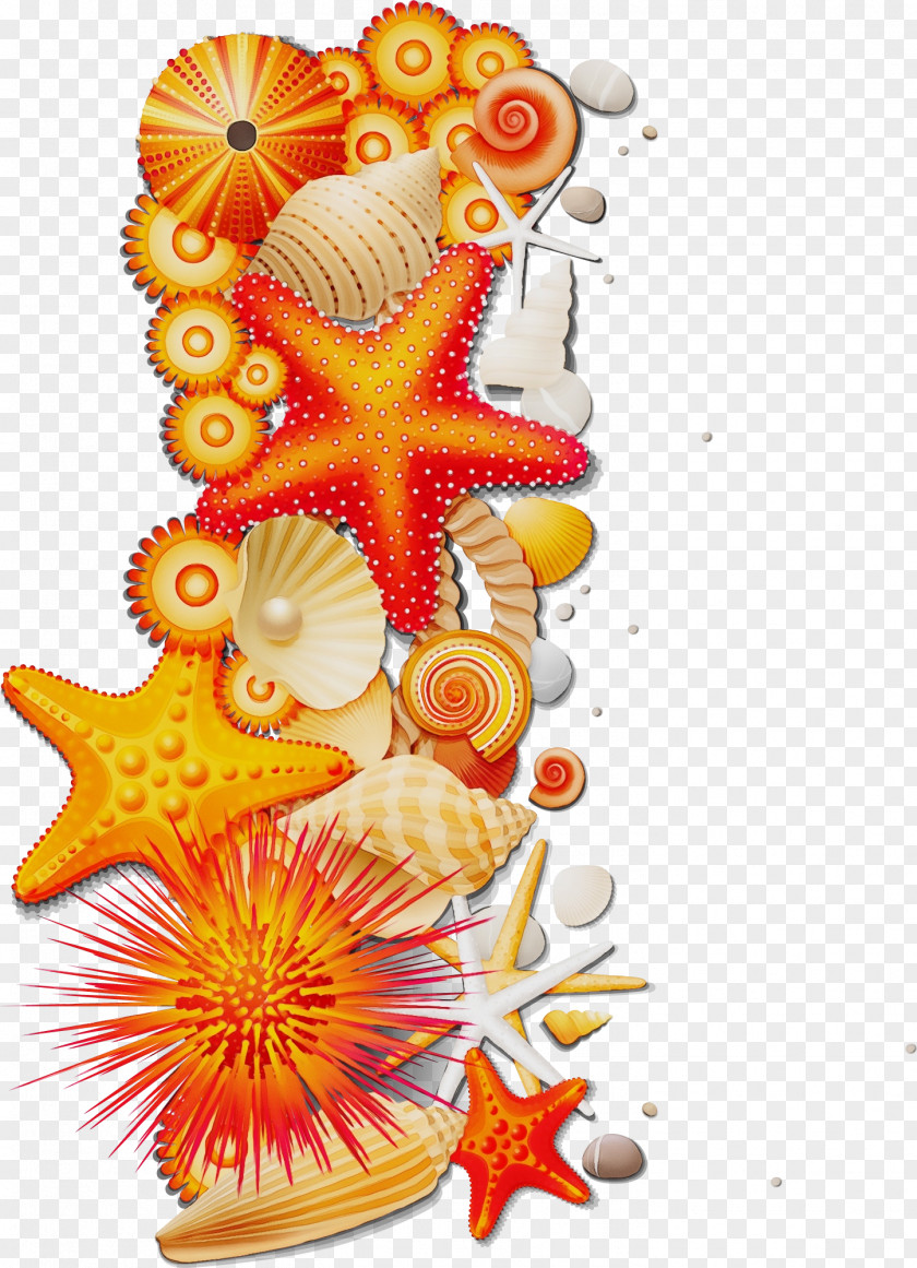 Organism Shell Watercolor Cartoon PNG