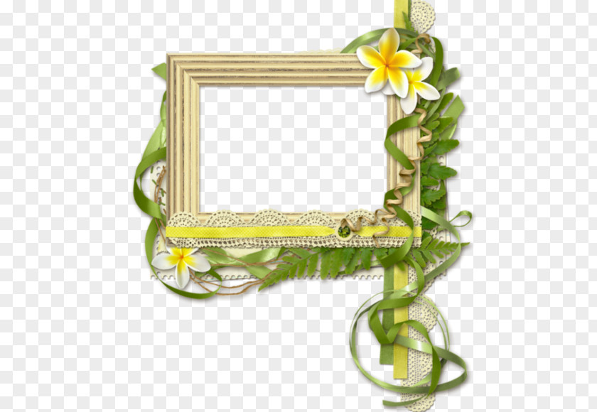 Picture Frames Floral Design Tableau PNG