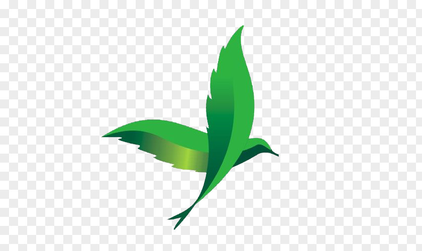 Swallow Marks Of Green Wings Logo Icon PNG