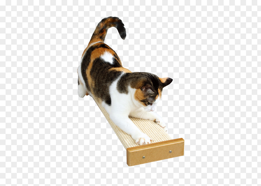 Cat Tree Scratching Post SmartCat Bootsies Combination Scratcher Pet PNG