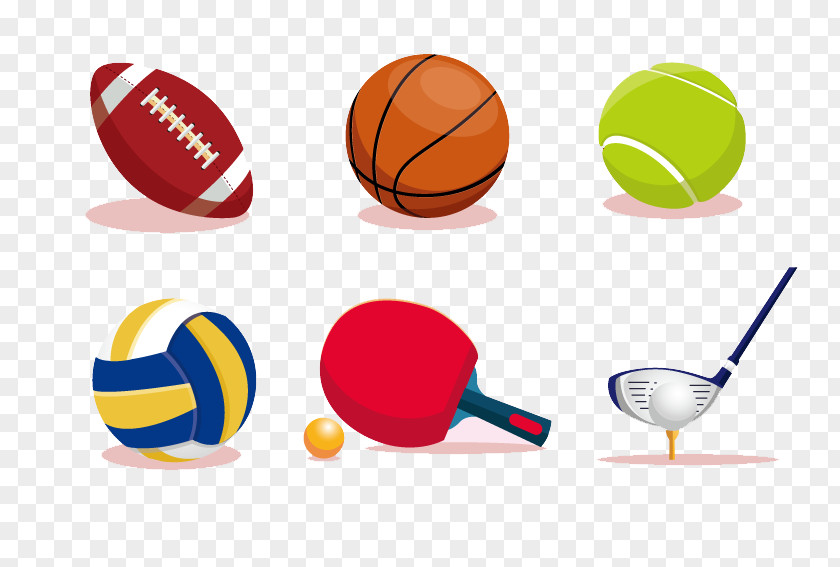 Sports Equipment Vector Ball Game Sport Euclidean PNG