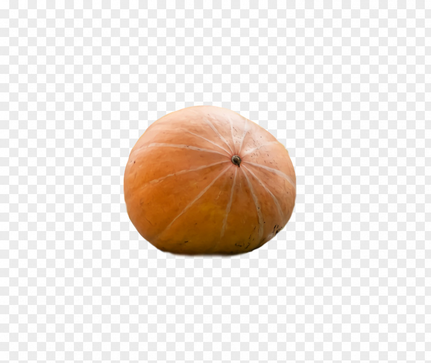 Squash Winter Gourd PNG