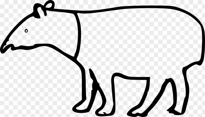 Elephant Nose Drawing Malayan Tapir Clip Art PNG