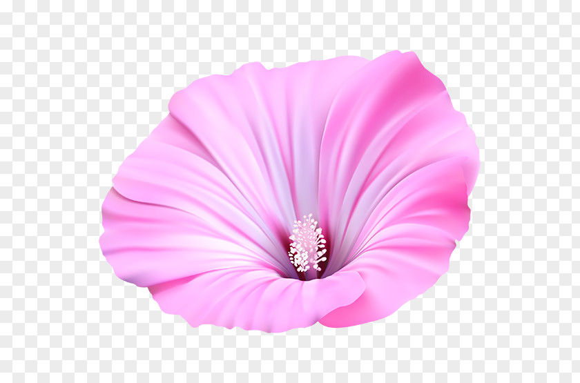 Flower Painting Petal Acrylic Paint PNG