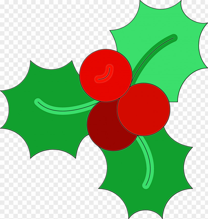 Holly PNG