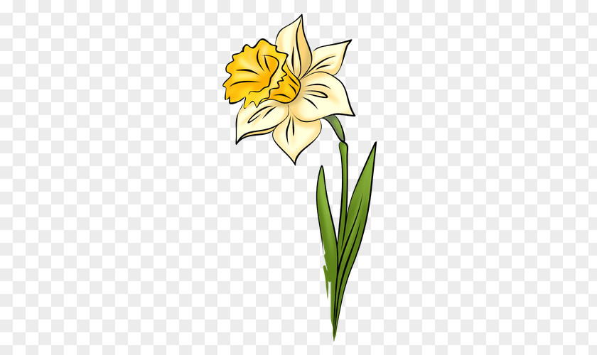Narcissus IPad Daffodil Drawing Clip Art PNG