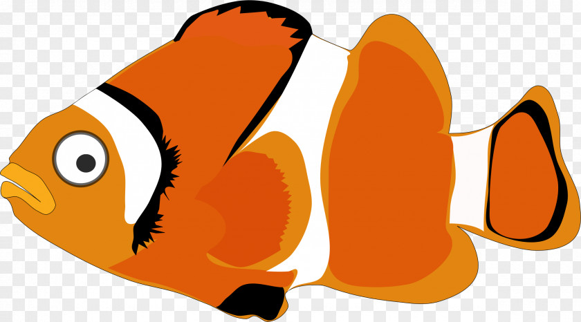 Orange Cartoon Fish Clip Art PNG