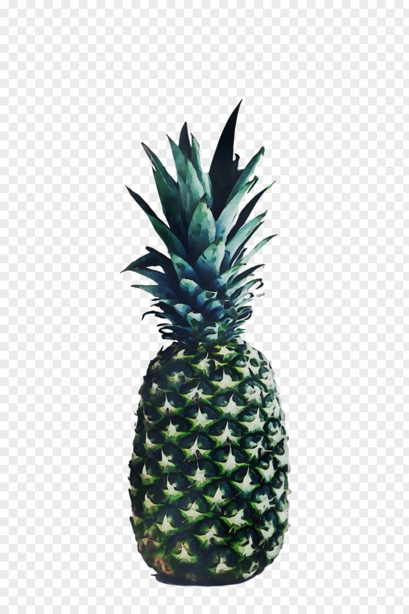 Pineapple PNG