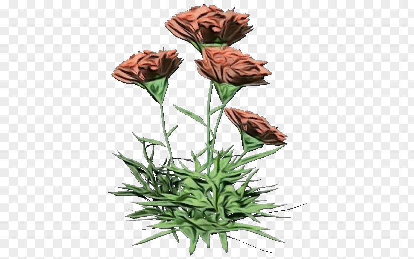 Cut Flowers Plant Stem Flowerpot Flower Plants PNG