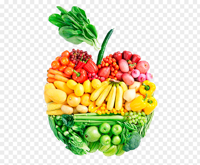 Health Nutrient Medical Nutrition Therapy Food Diet PNG