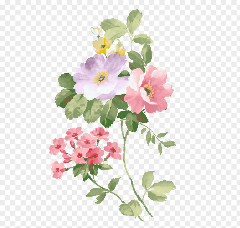 Watercolour Flower Flowers Watercolor Painting PNG