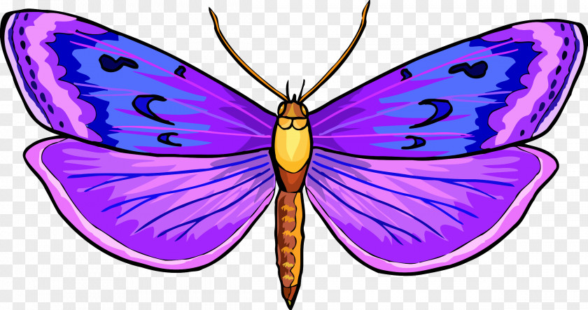 Butterfly Monarch Drawing Insect Clip Art PNG