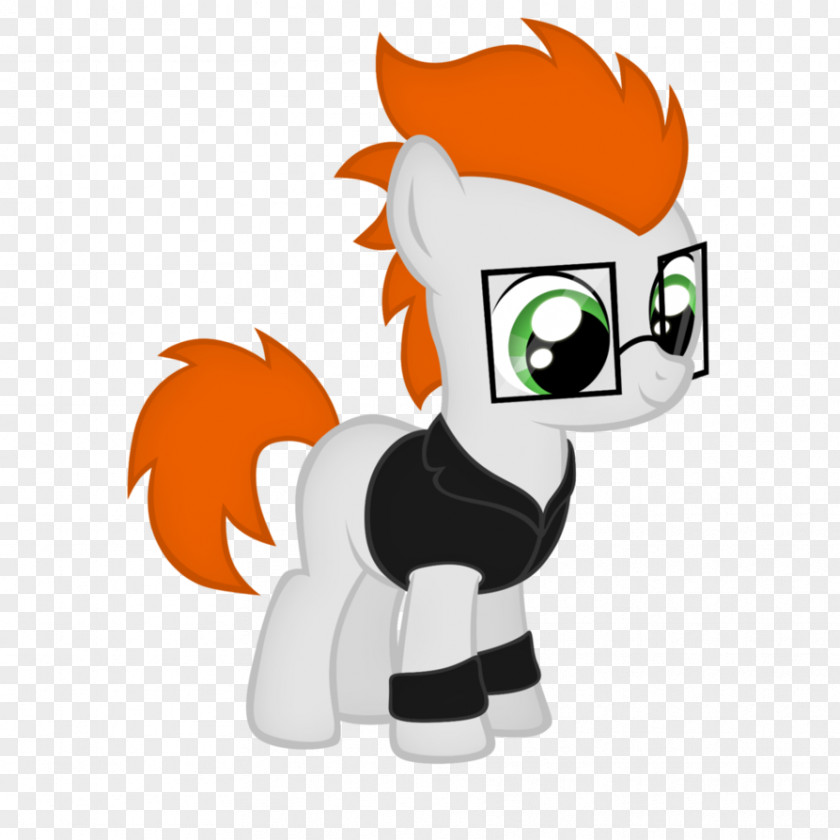 Colts My Little Pony Colt Stallion PNG