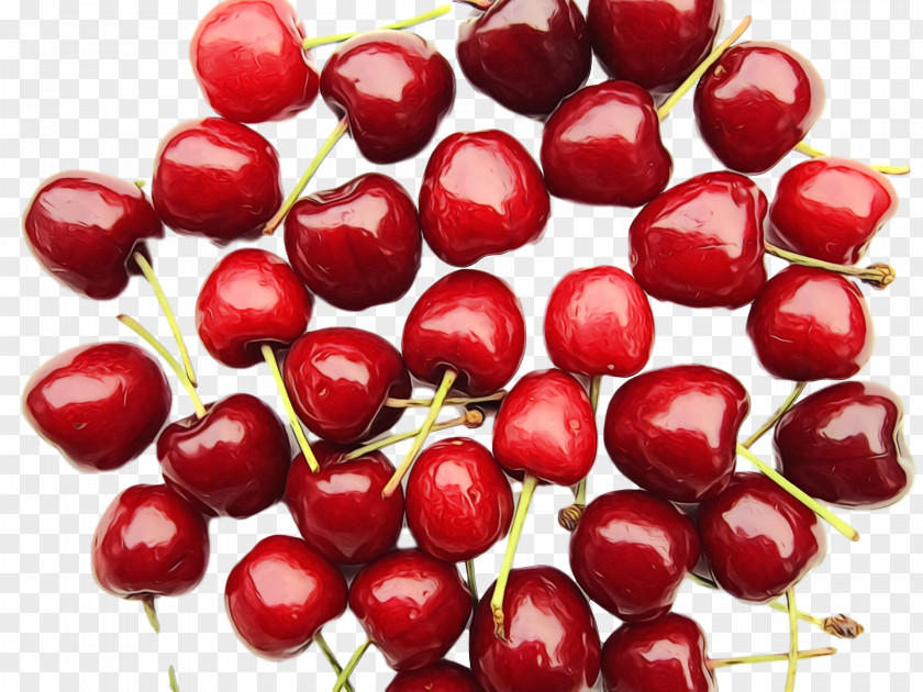 Cranberry Lingonberry Natural Foods Berry PNG