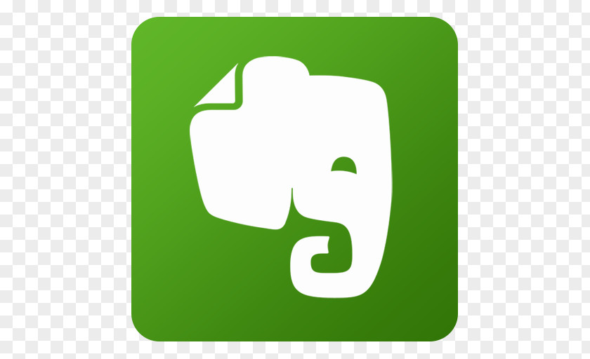 Evernote Grass Text Symbol PNG