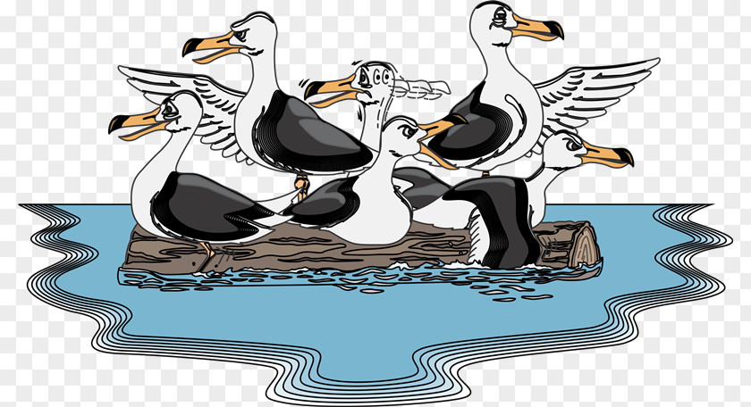 Xn Duck Penguin Bird PhotoScape PNG