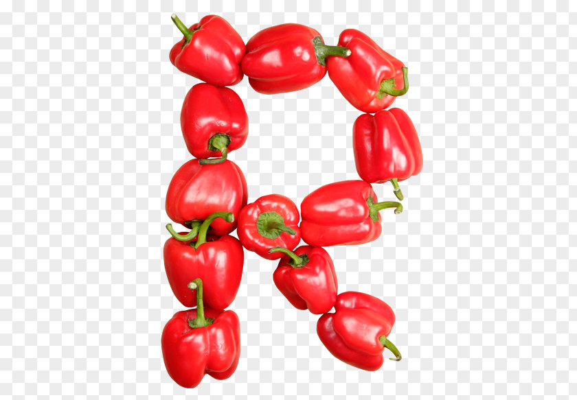 Colombian Folklore Habanero Piquillo Pepper Tabasco Bell Cayenne PNG