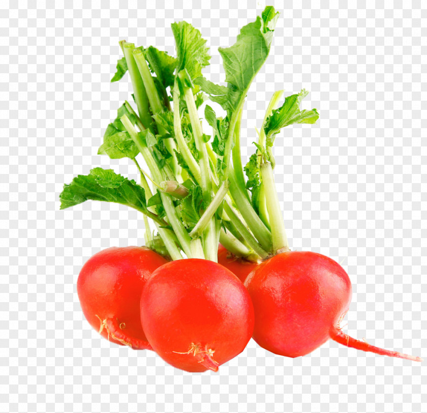 Vegetable Radish Stock Photography Food Salad PNG