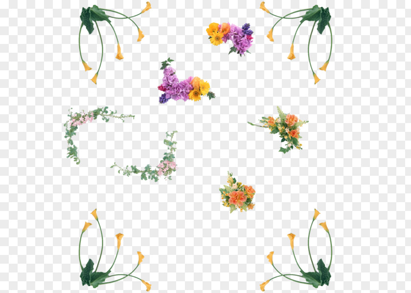 Flower Scrapbooking Picture Frames Clip Art PNG