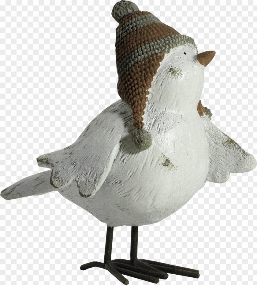 Hat Bird Animation Shop PNG