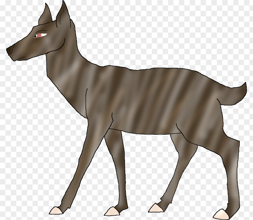 Horse Canidae Antelope Cattle Dog PNG