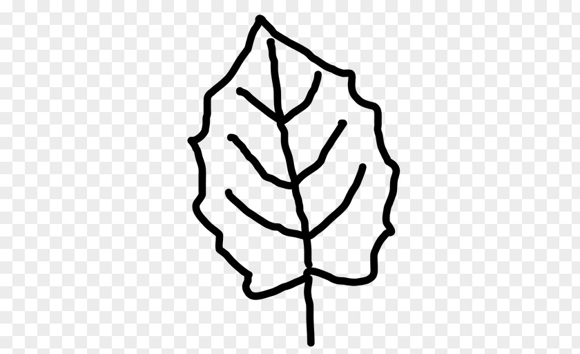 Leaf Maple Tree Clip Art PNG