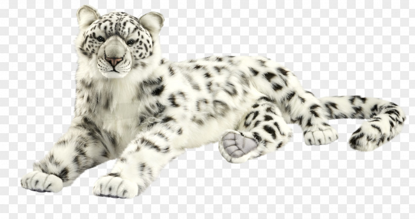 Leopard Snow Whiskers Snout White PNG