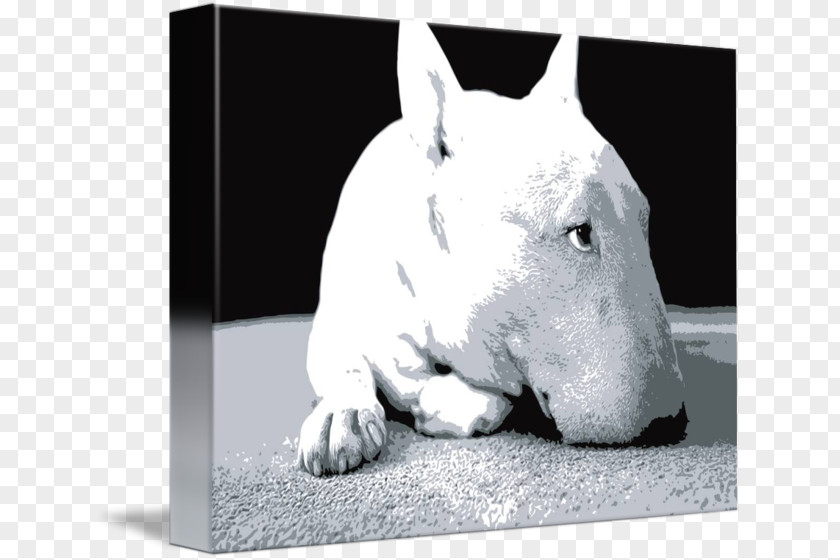 Painting Miniature Bull Terrier Dog Breed Staffordshire Canvas Print PNG