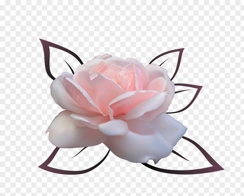 Rose Ring Flower Euclidean Vector PNG
