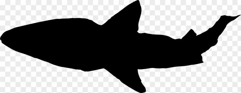 Shark Head Jaws Silhouette Clip Art PNG