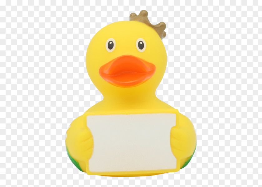 Duck Rubber Toy Domestic Natural PNG