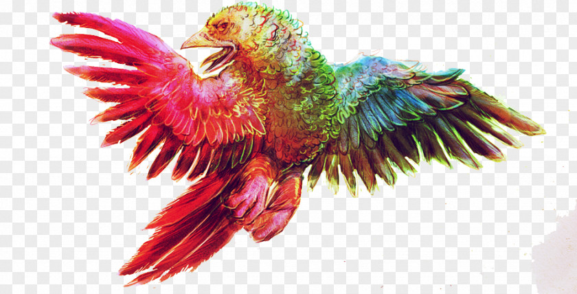 Eagle Wing Download Google Images PNG