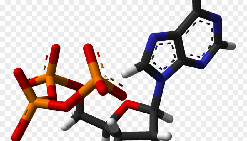 Energy Adenosine Triphosphate Nicotinamide Adenine Dinucleotide PNG
