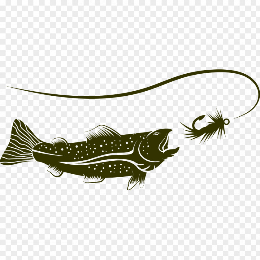 Fishing Illustration Rod Fish Hook PNG