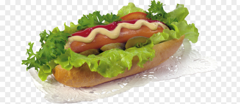 Hot Dog Clip Art Computer File Image PNG