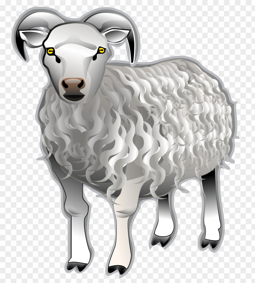 Sheep Bighorn Clip Art PNG