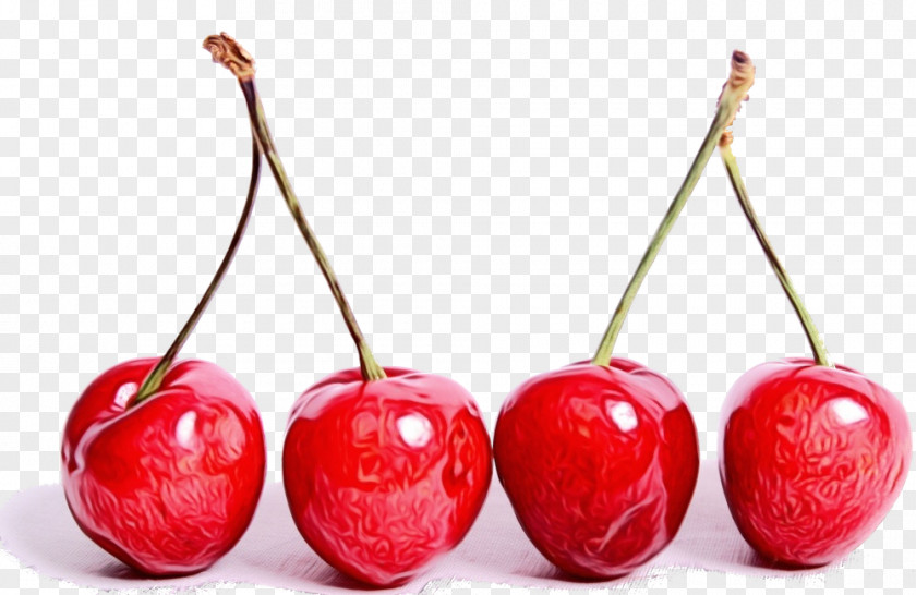 Superfruit Tree Cherry Fruit Natural Foods Red Plant PNG