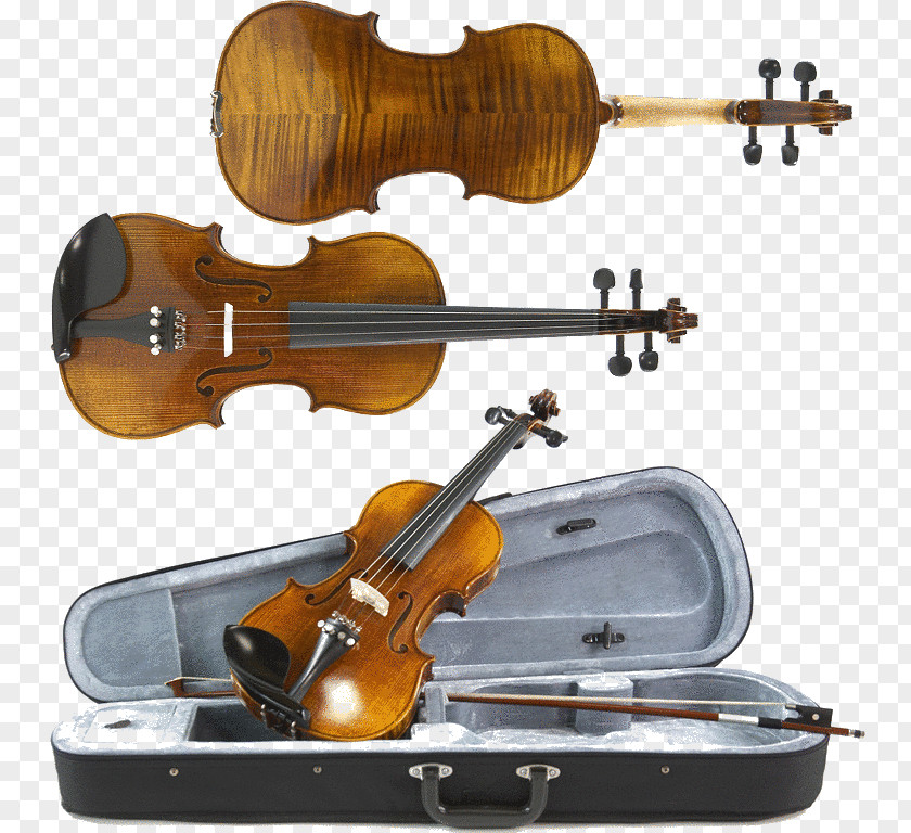 Violin Bass Violone Viola Fiddle PNG