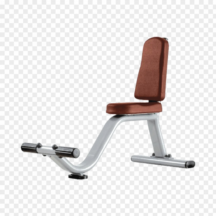 Barbell Bench Exercise Machine Fitness Centre Equipment PNG