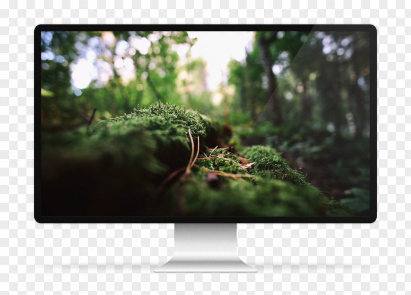 Bokeh Computer Monitors Desktop Wallpaper Metaphor Macro Photography PNG