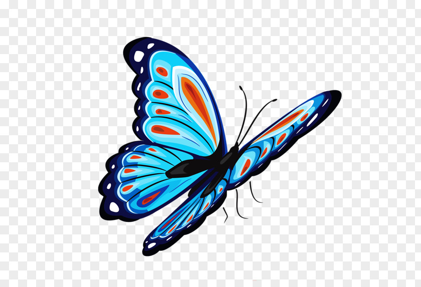 Butterfly Desktop Wallpaper Clip Art PNG