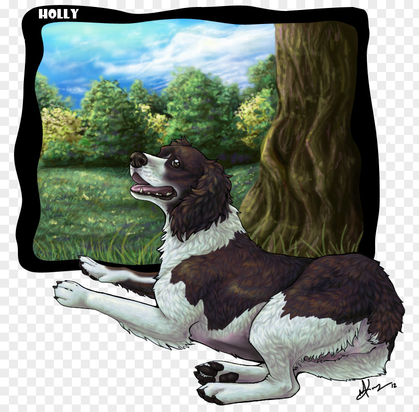 English Springer Spaniel Dog Breed PNG