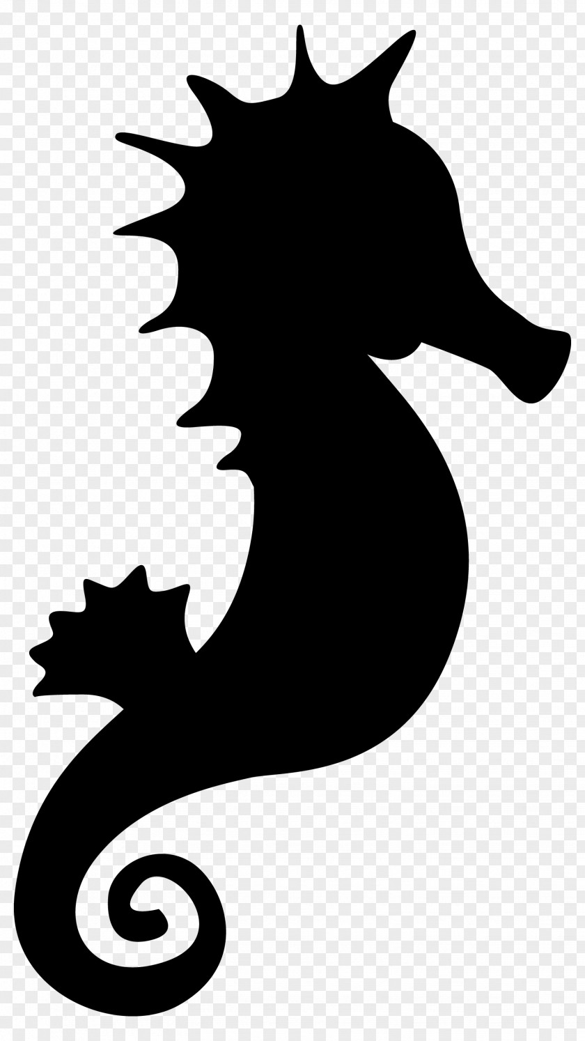 M Seahorse Clip Art Character Cat Black & White PNG