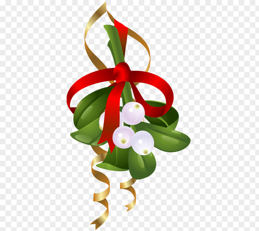 Mistletoe Clip Art PNG