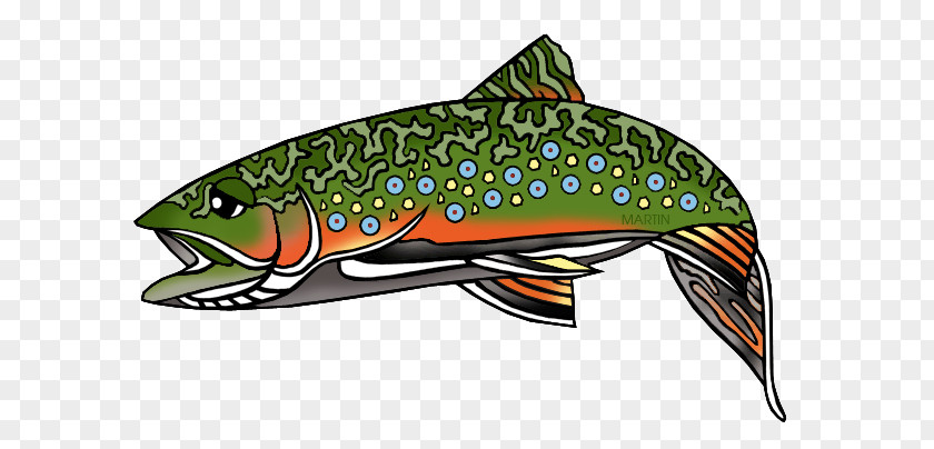 Wv Cliparts Rainbow Trout Free Content Clip Art PNG